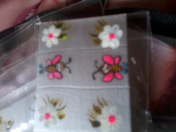 Borboleta de frente